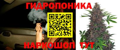 трава Сланцы