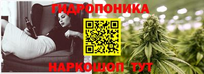 трава Сланцы
