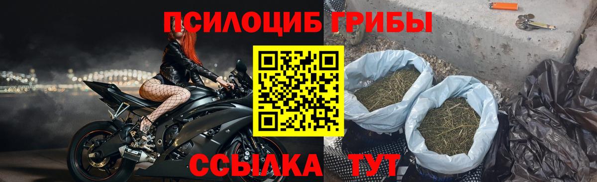 Галлюциногенные грибы Psilocybine cubensis  наркошоп  Галлюциногенные грибы мицелий  Обнинск  Вход с VPN 